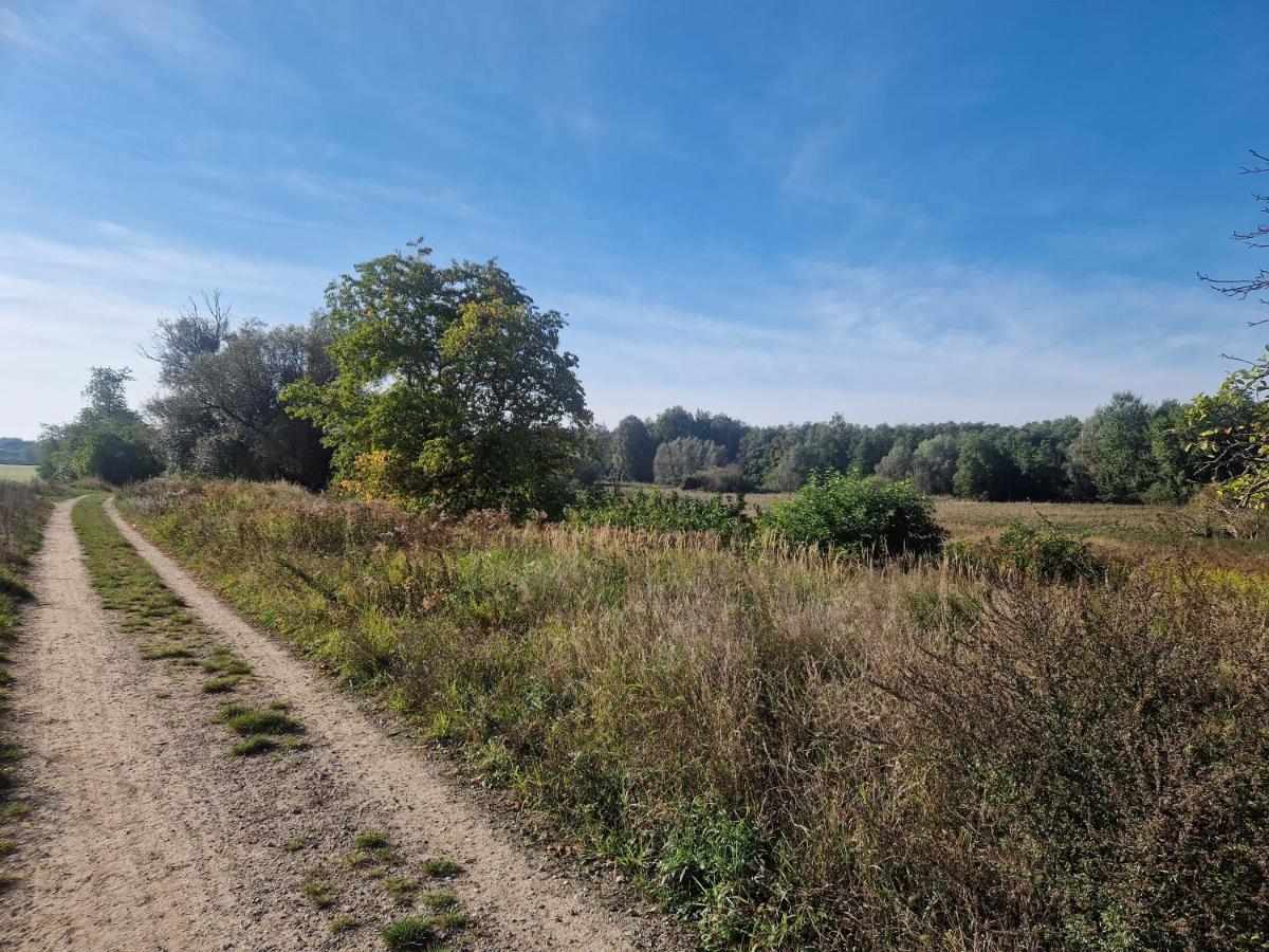 Geraeumige Und Zentrale Ferienwohnung Stahnsdorf Exteriör bild